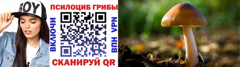 Галлюциногенные грибы Magic Shrooms Ликино-Дулёво